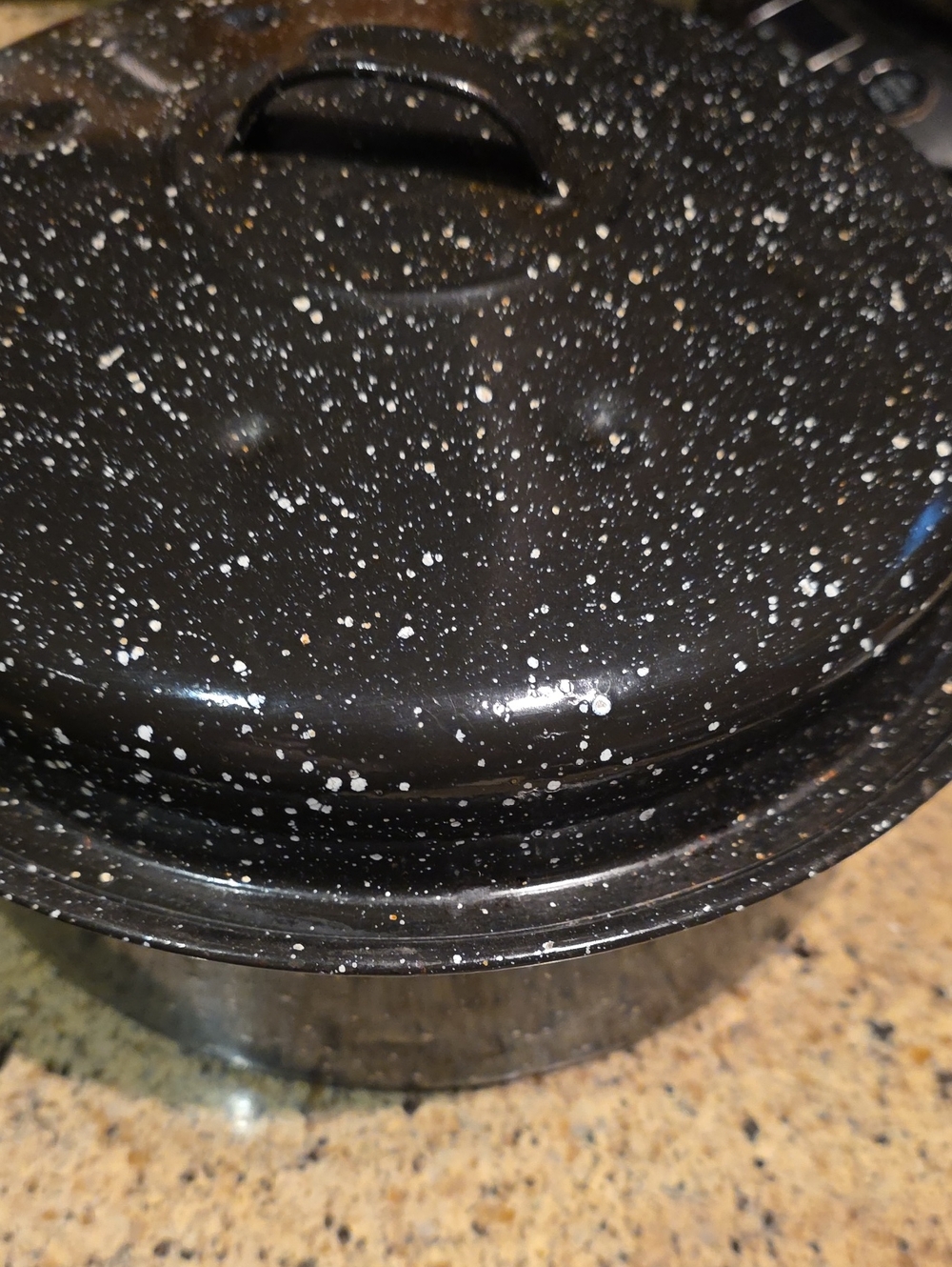 Black Speckled Enamel Cookpot with Lid